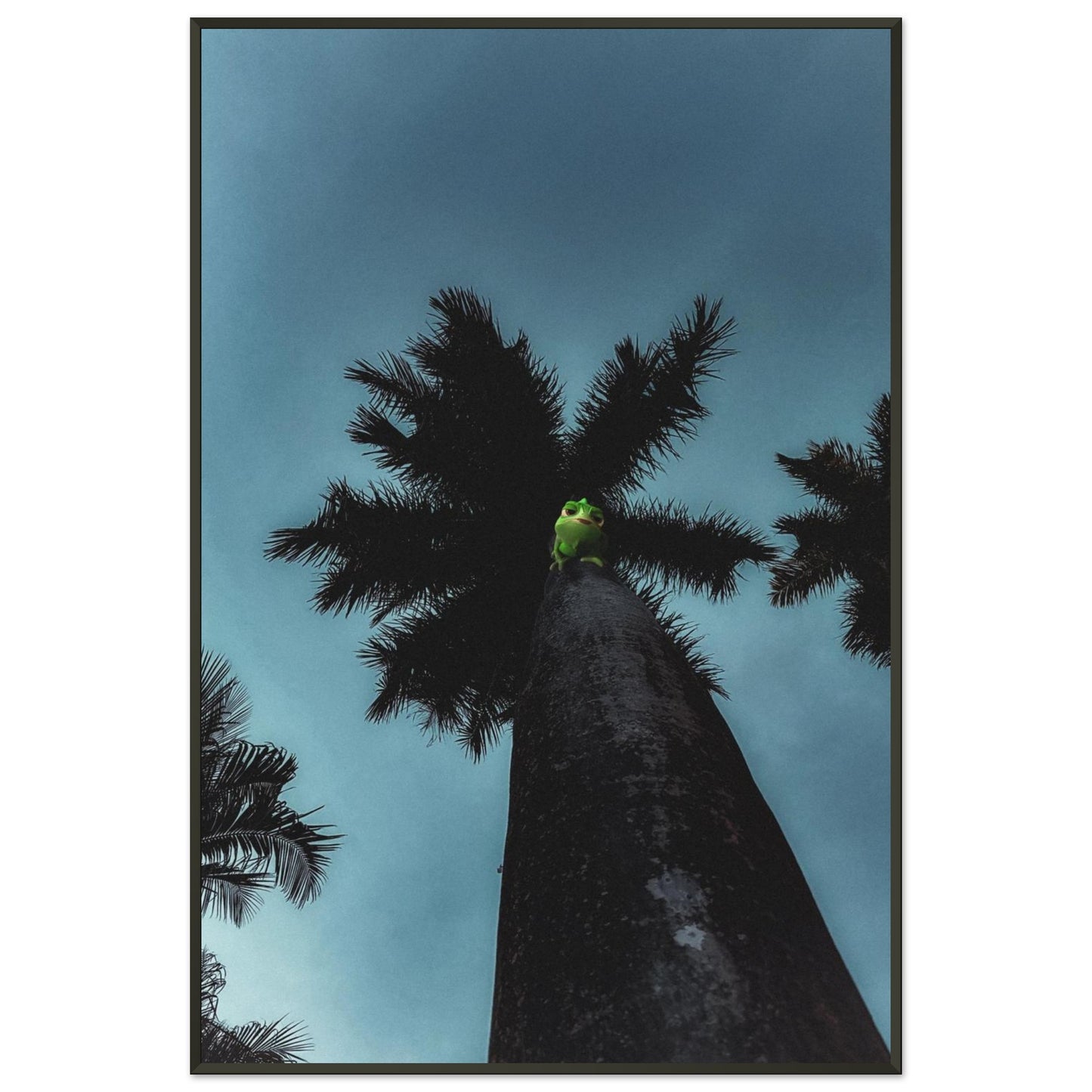 ff1e5083-ad31-4065-b9e4-13aad1bcfb96